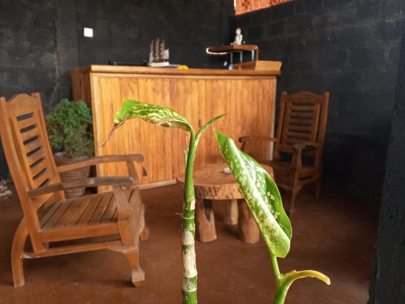 Turn View Resort إيلا المظهر الخارجي الصورة